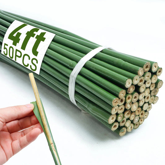 50pcs 4FT Bamboo Plant Stakes,Grden Plant Stakes For Indoor And Outdoor Climbing Plants