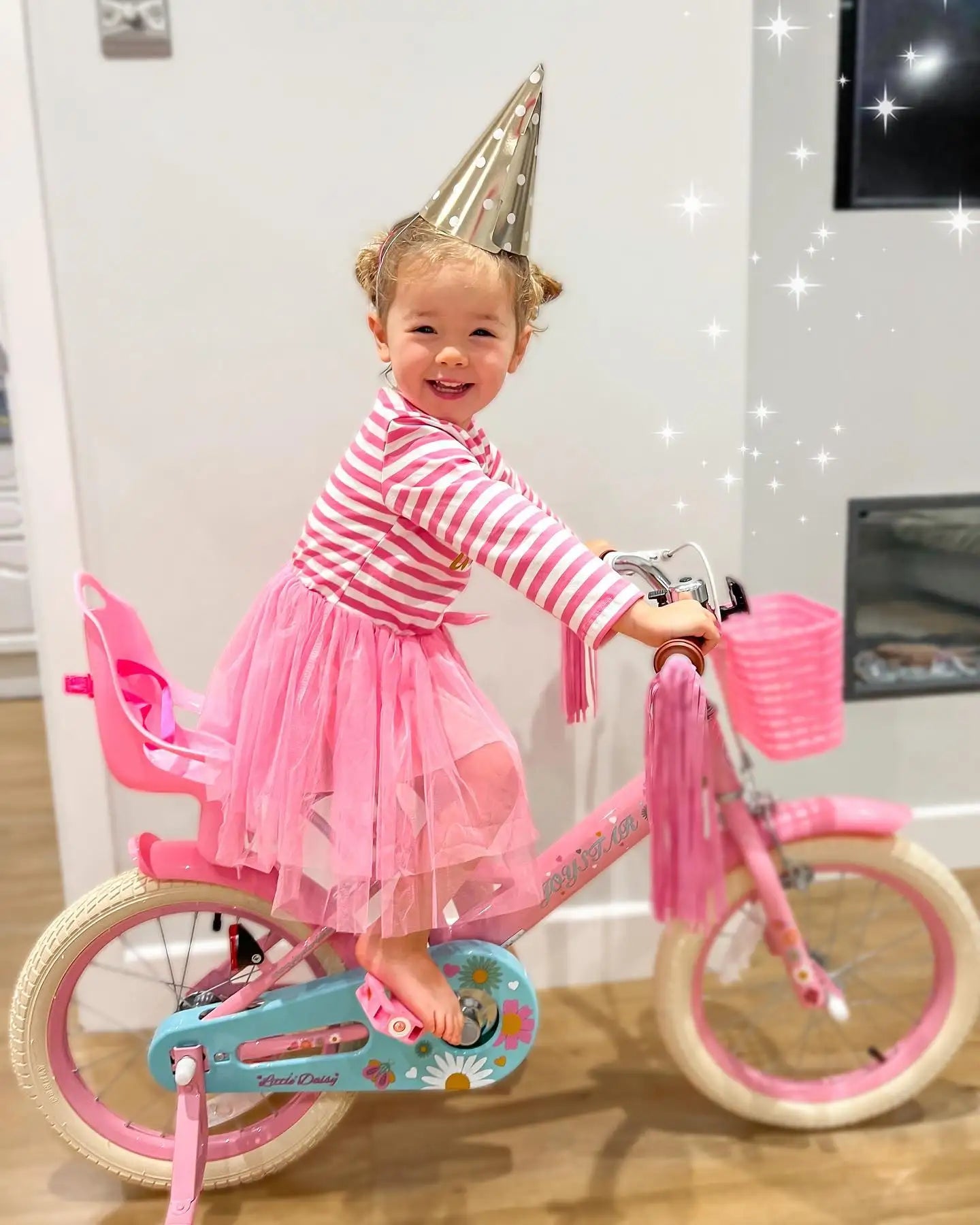 Kids Bike for Ages 2-7 Years 12 14 16 Inch Girls Bikes with Doll Seat & Streamers, Boys Bike with Flag & Plate